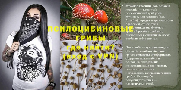 дмт Алексин