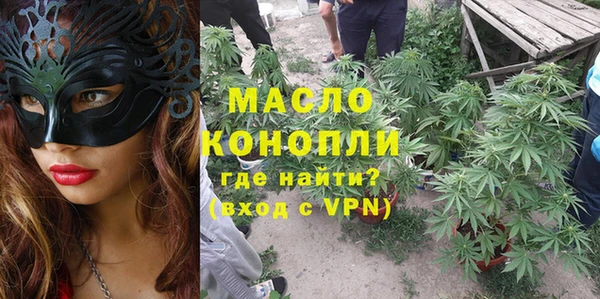 дмт Алексин