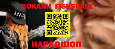 эйфоретик Кингисепп