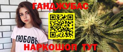 сатива Кимры