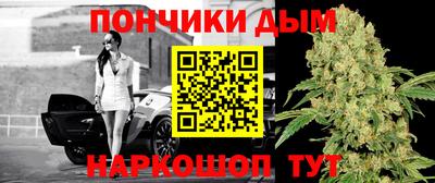 spice Кинель