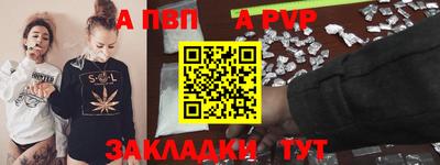 эйфоретик Кингисепп