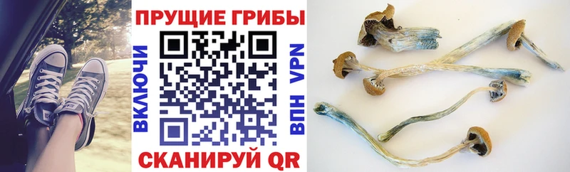 Псилоцибиновые грибы ЛСД  Менделеевск 